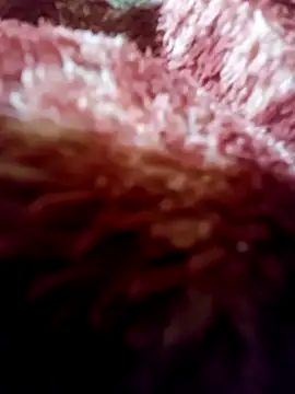 mohmmadboudi7 webkamerás műsora