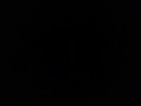 Show Webcam de plTop40