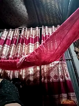 Ripa- ওয়েবক্যাম শো