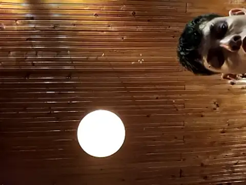 blackninja66 Adlı Modelin Canlı XXX Sohbeti