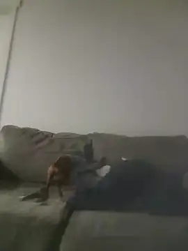 Show Webcam de yourMasterisBored