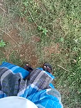 dolphiinn ওয়েবক্যাম শো