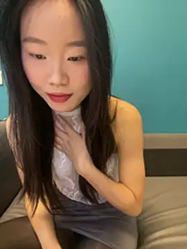 ZHJKS9988 Show Webcam