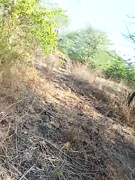 Show modela himvilohi08 na web-kameri