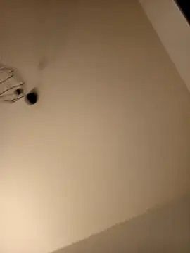 Show webcam de Guitccch