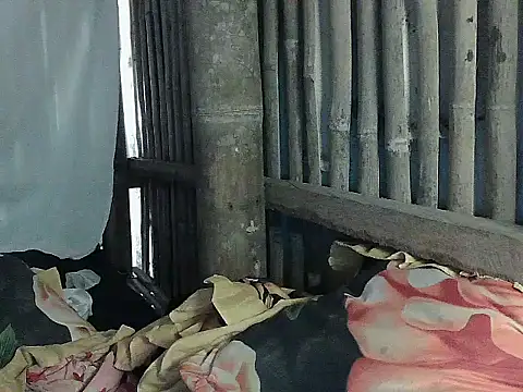 Show de webcam de Huntrix2025