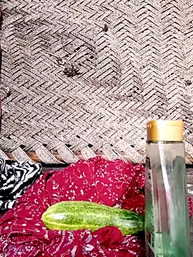 palakshar 웹캠 쇼