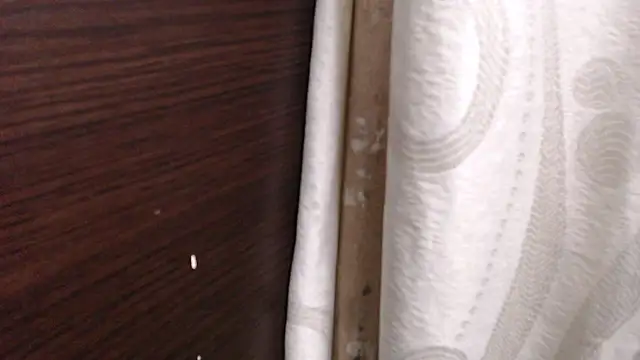 madelene Chat XXX live