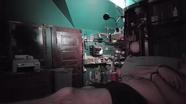 charactrzero webkamerás műsora