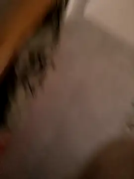 vinay_smalldick élő XXX-chatje