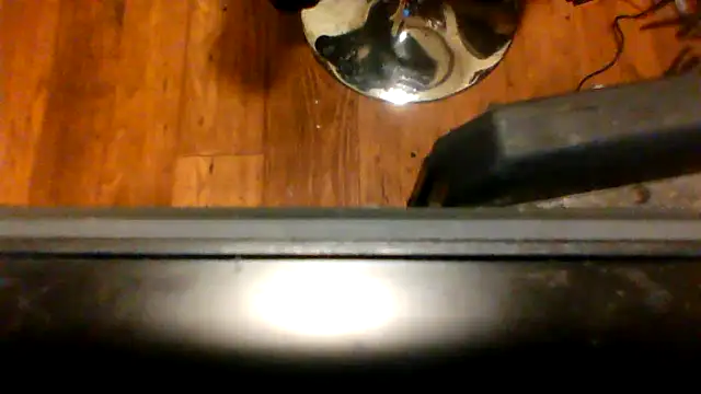 fukurbutt: διαδικτυακό σόου στην κάμερα