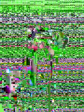 meimei_x: онлайн-секс-чат