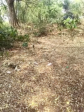 Sheela_Sex90 Adlı Modelin Web Kamerası Şovu