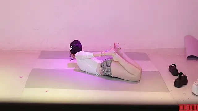 ATY-1315 Show Webcam