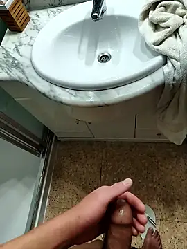 CattingSample webcam show