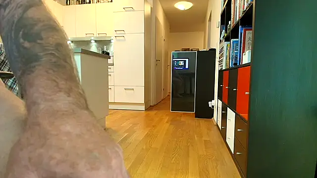 Show Webcam de crazylemy