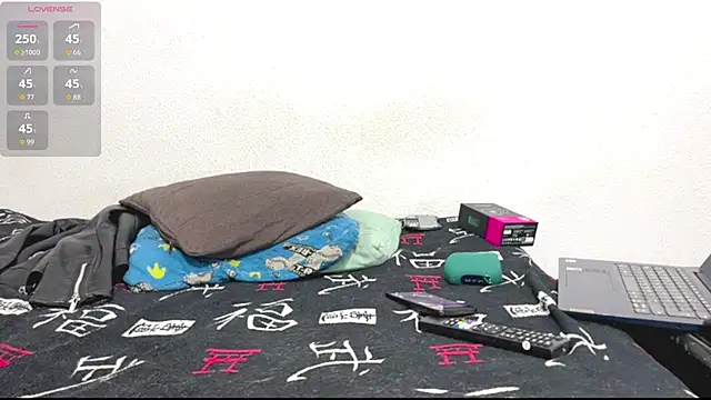 Show webcam de logan_x3