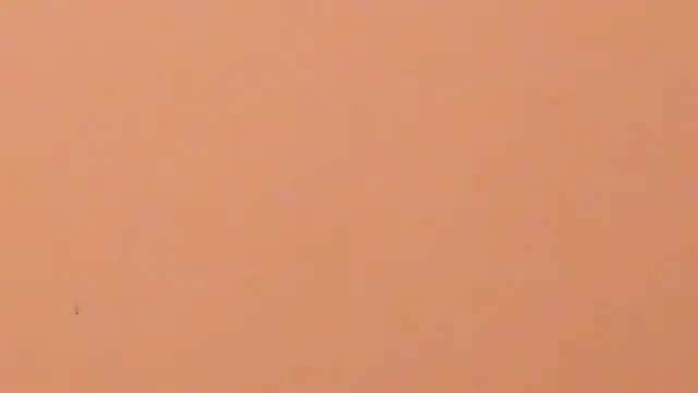 b3cky_ 라이브 XXX 채팅