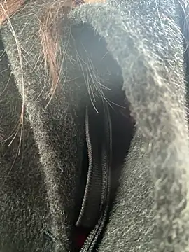 عرض كام luna-sisi