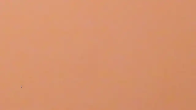 b3cky_ Live XXX-chat