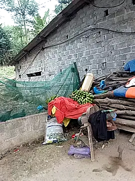 Irin_jo Chat XXX live