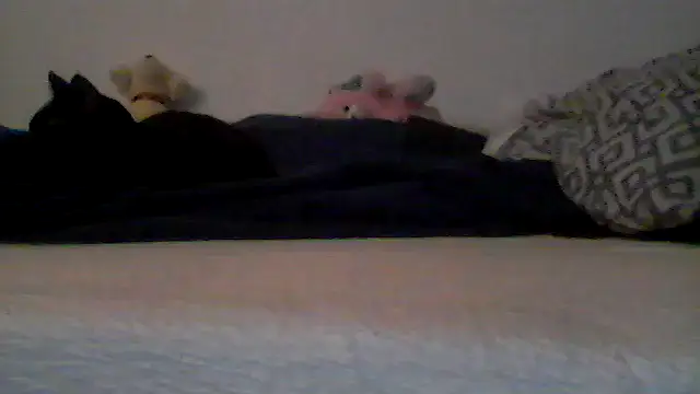 Silencio26: διαδικτυακό σόου στην κάμερα