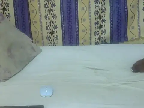 teresita_02's Live XXX Chat