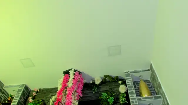 Sebax_Young 웹캠 쇼