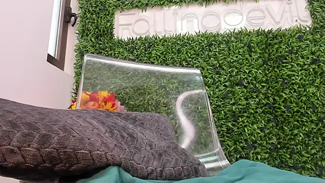 realhotfallingdevil 라이브 XXX 채팅