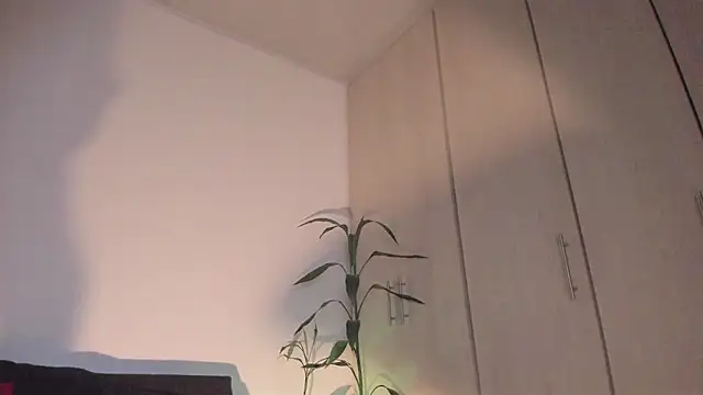 Erickpritz_xhのウェブカメラショー