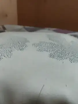 Show de aryanvfit na webcam