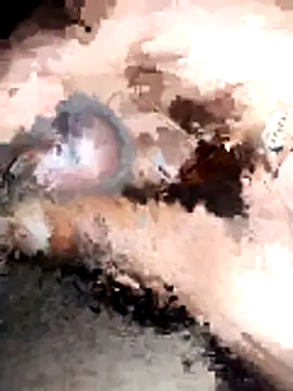 rocky_play_boy_: вебкам-шоу