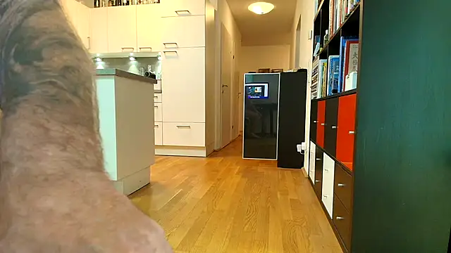 crazylemy webcam show