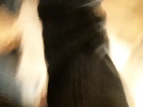 bravo23toro: διαδικτυακό σόου στην κάμερα