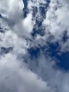 Chatroom XXX en direct de FoxyMood