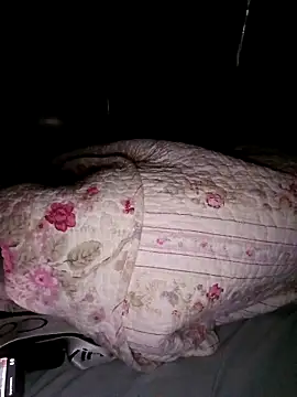 Andres_177n Webbikameraesitys