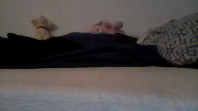 Silencio26: διαδικτυακό σόου στην κάμερα