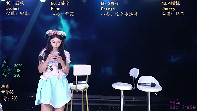 Show webcam de SG-0310