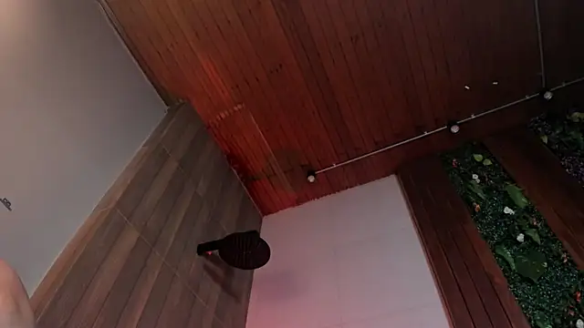 Show de webcam de Dustin_Sonne