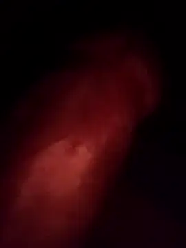 Carlos_Wrightn Webbikameraesitys