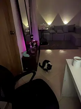 Im_sophiie élő XXX-chatje