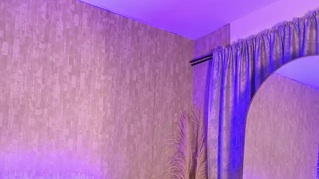 Show modela pixy_20 na web-kameri