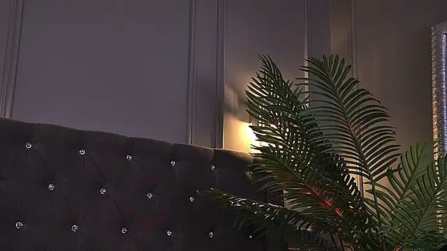 AriWild – webcam-show