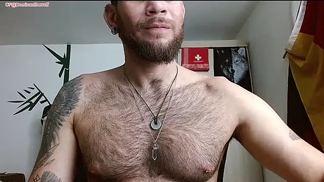 Show webcam de DominanThewolff