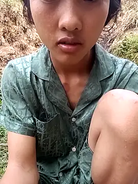 Hoa-tuylip Webcam Show