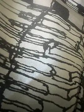 133pipi: διαδικτυακό σόου στην κάμερα