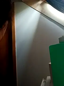 Show de bbcprinz na webcam