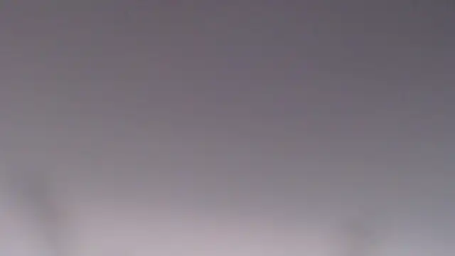 AlienforTwenty Live XXX-Chat