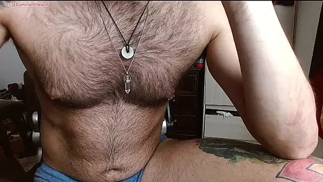 DominanThewolff's Webcam Show