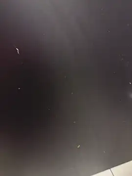 wassermann8484 Webcam-Show